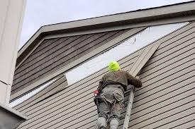 Best Vinyl Siding Installation  in Spirit Lake, ID